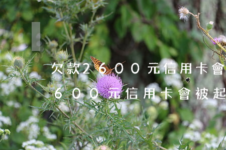 欠款2600元信用卡會被起訴嗎-欠款2600元信用卡會被起訴嗎知乎