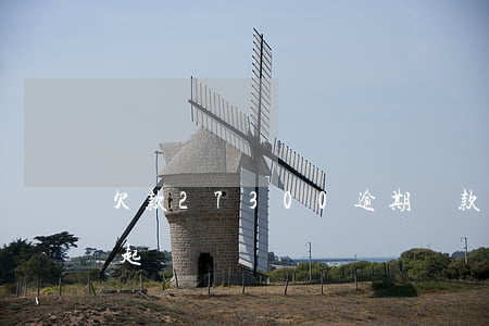 欠款27300逾期還款(欠款2900可以起訴嗎)