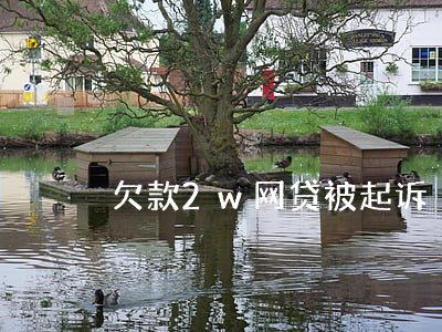 欠款2w网贷被起诉