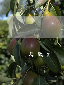 欠款2萬元值得起訴嗎(欠款2千可以起訴嗎)
