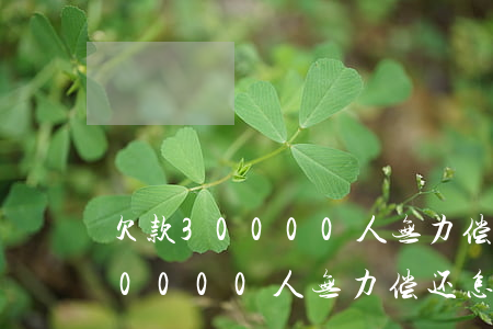 欠款30000人无力偿还怎么办-欠款30000人无力偿还怎么办呢