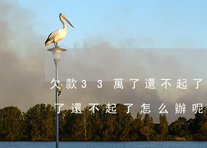 欠款33萬了還不起了怎么辦-欠款33萬了還不起了怎么辦呢