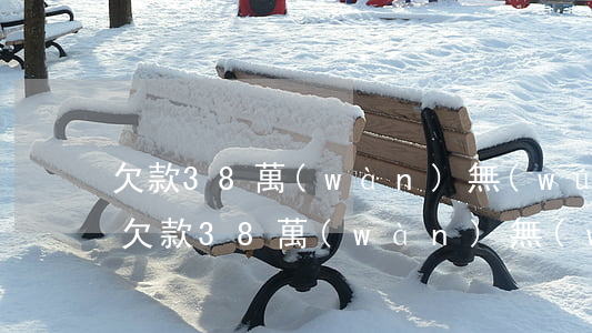欠款38萬(wàn)無(wú)力償還-欠款38萬(wàn)無(wú)力償還怎么辦