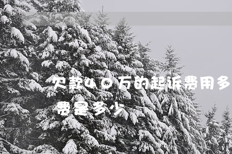 欠款40万的起诉费用多少(欠款25万诉讼费是多少)