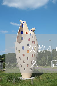 欠款40萬(wàn)無(wú)力償還怎么辦信用卡-欠款40萬(wàn)無(wú)力償還怎么辦信用卡呢