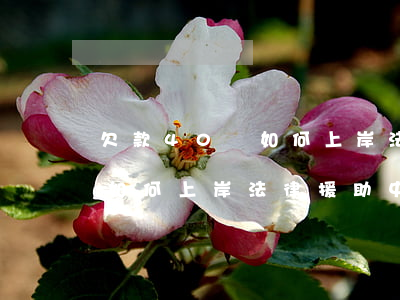 欠款40萬如何上岸法律援助-欠款40萬如何上岸法律援助中心