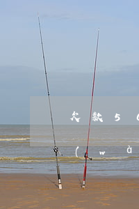 欠款50萬(wàn)全部逾期(欠了五十萬(wàn))