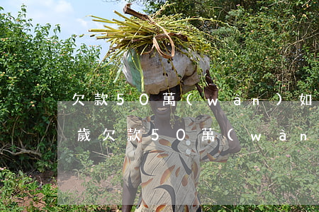 欠款50萬(wàn)如何才能翻身-40歲欠款50萬(wàn)如何才能翻身
