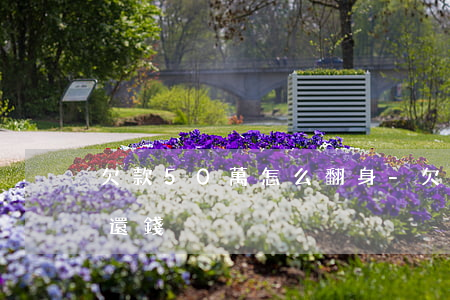 欠款50萬怎么翻身-欠款50萬怎么翻身還錢