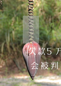 欠款5万被起诉被判几年（逾期五万元被起诉会被判几年）