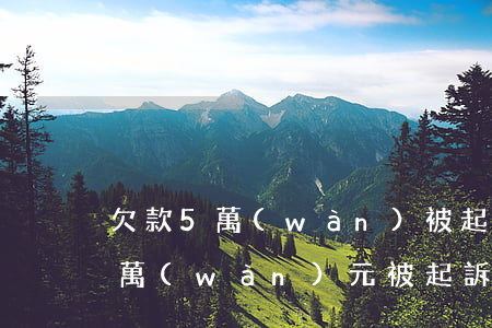 欠款5萬(wàn)被起訴被判幾年（逾期五萬(wàn)元被起訴會(huì)被判幾年）