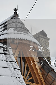 欠款5萬借唄逾期利息多少錢(借唄欠款5000逾期一個月利息)