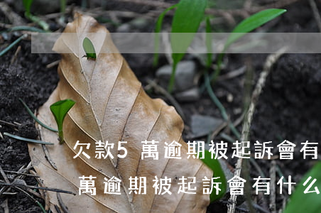 欠款5萬逾期被起訴會有什么后果-欠款5萬逾期被起訴會有什么后果嗎