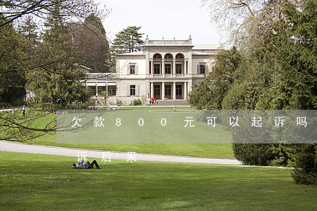欠款800元可以起诉吗(欠800元钱被起诉后果)