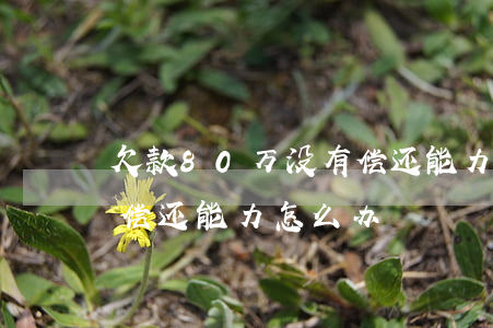 欠款80万没有偿还能力-欠款80万没有偿还能力怎么办