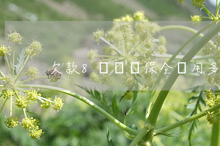 欠款8萬訴訟保全費用多少
