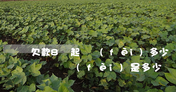 欠款8萬起訴費(fèi)多少錢(欠款28萬訴訟費(fèi)是多少)