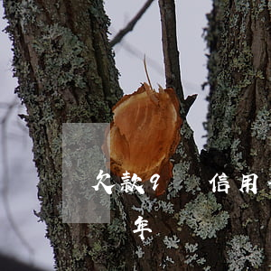 欠款9萬信用卡逾期了(我信用卡欠8萬逾期兩年)