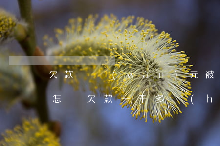 欠款一萬(wàn)元被起訴會(huì)怎樣(欠款一千多會(huì)被起訴嗎)
