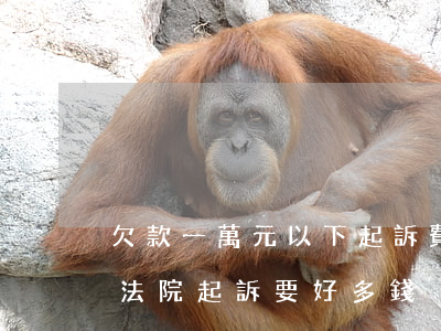 欠款一萬元以下起訴費多少(一萬以上的欠款 法院起訴要好多錢)