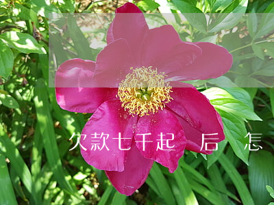 欠款七千起訴后會怎樣(欠款七千起訴后會怎樣)