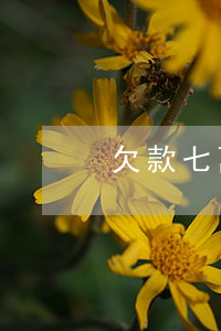 欠款七萬起訴費多少(欠款七千起訴后會怎樣)