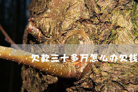 欠款三十多万怎么办（欠钱三十万怎么起诉）