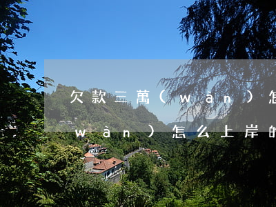 欠款三萬(wàn)怎么上岸-欠款三萬(wàn)怎么上岸的