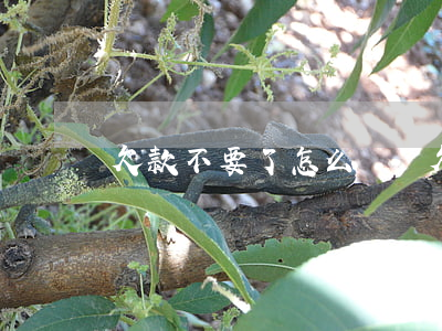 欠款不要了怎么處賬(欠款不要了怎么說明)