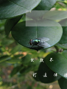 欠款不還可以找法律援助嗎(拖欠工程款可以打法律援助)