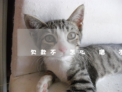 欠款不還怎么辦(借錢不還怎么處理)