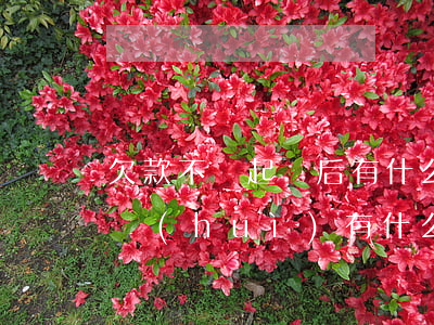 欠款不還起訴后有什么后果(欠利息不還起訴會(huì)有什么后果)