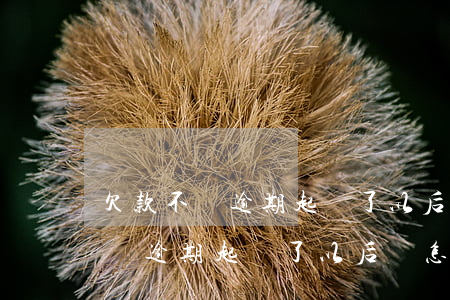 欠款不還逾期起訴了以后會怎么樣-欠款不還逾期起訴了以后會怎么樣呢