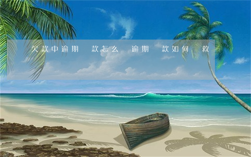欠款中逾期還款怎么辦(逾期還款如何補救)