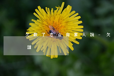 欠款了怎么向家人說-欠款了怎么向家人說話