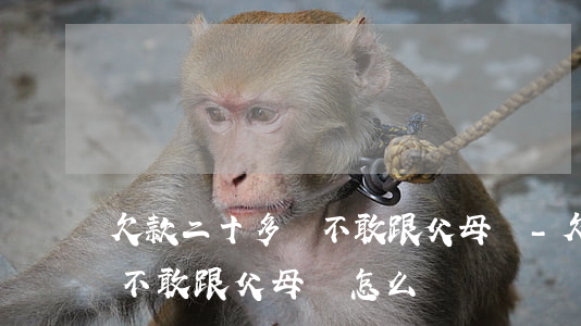 欠款二十多萬不敢跟父母說-欠款二十多萬不敢跟父母說怎么辦