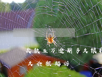 欠款五万逾期多久银行会起诉(欠银行5万多久会被起诉)