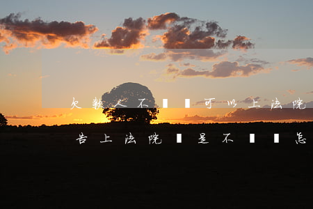 欠款人不還錢可以上法院起訴嗎(把欠錢的人告上法院,還是不還錢怎么辦)