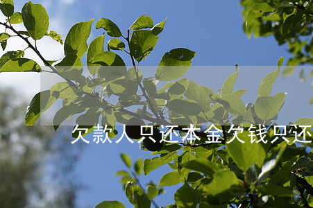 欠款人只还本金(欠钱只还本金可以吗)