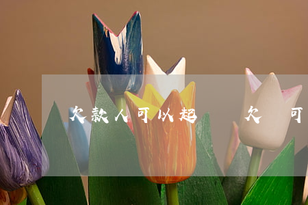 欠款人可以起訴嗎（欠錢可以起訴法人嗎）