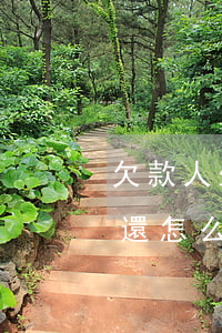 欠款人坐牢且無力償還(欠款人坐牢且無力償還怎么辦)