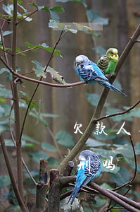 欠款人无力偿还的案例 欠款人无力偿可以判刑吗?