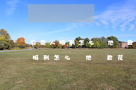 欠款人服刑怎么幫他還款花唄借唄-欠款人服刑怎么幫他還款花唄借唄的錢