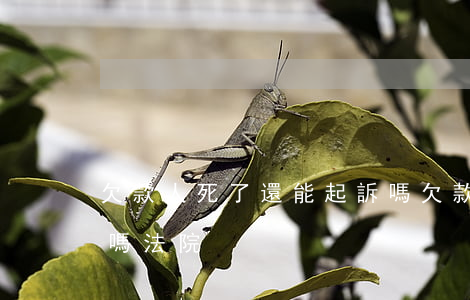 欠款人死了還能起訴嗎 欠款人死了還能起訴嗎法院
