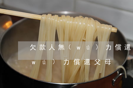 欠款人無(wú)力償還父母-欠款人無(wú)力償還父母