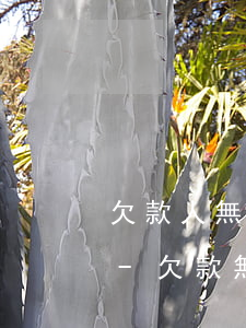 欠款人無力償還債務(wù)法院怎么處理-欠款無力償還2023年新規(guī)出來了