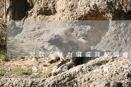 欠款人無力償還其配偶會有責任嗎-欠款人無力償還其配偶會有責任嗎怎么辦