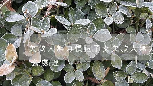 欠款人無力償還子女(欠款人無力償還子女怎么處理)