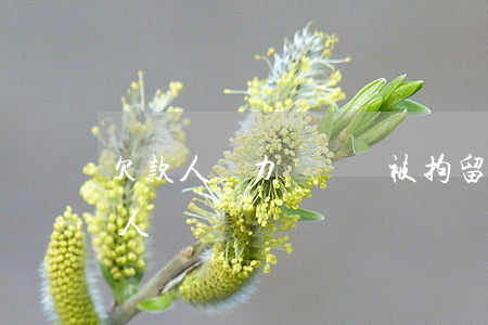 欠款人無力償還會被拘留嗎（欠債無力償還抓人嗎）