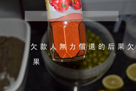 欠款人無力償還的后果(欠款人無力償還的后果)